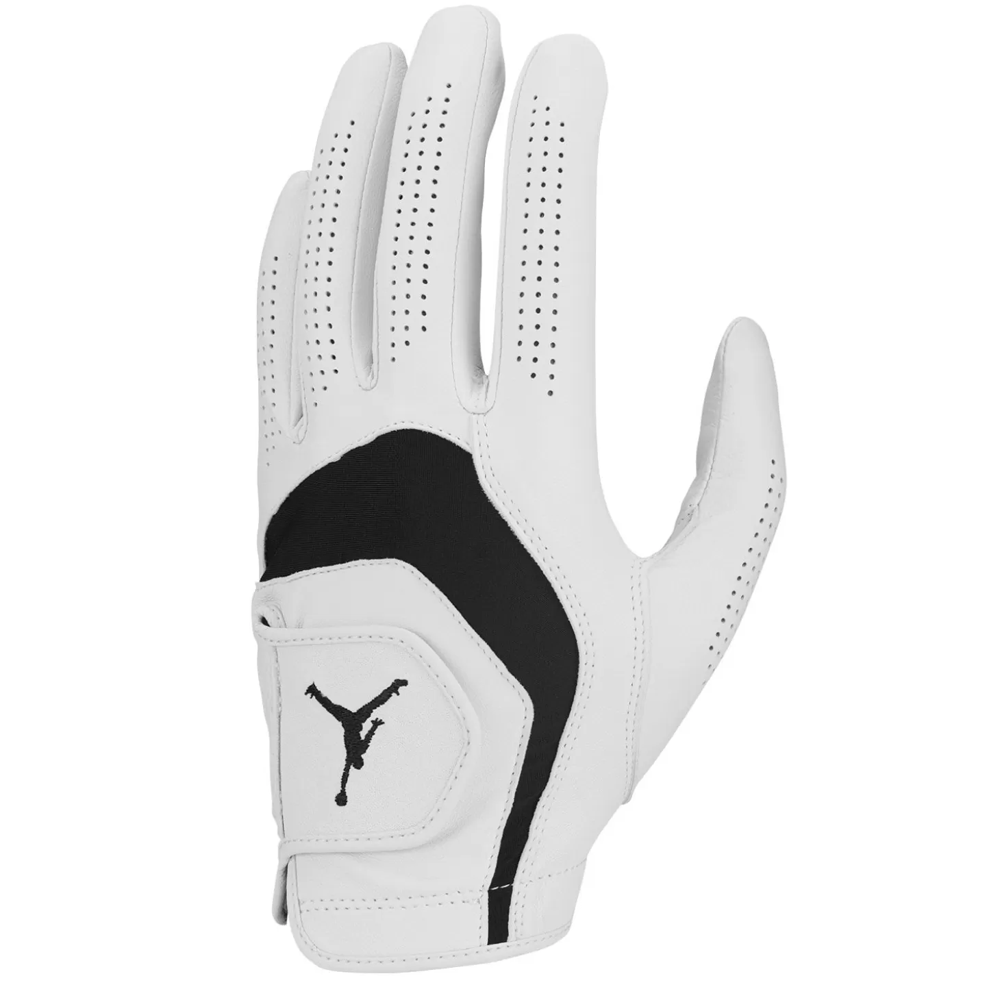 Jordan Tour Golf Glove Flash Sale